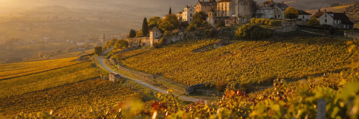 Vignobles de Bourgogne-Franche-Comté