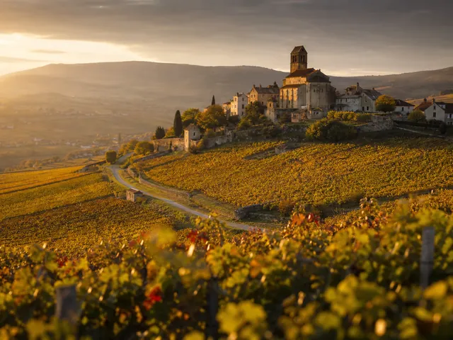 Vignobles de Bourgogne-Franche-Comté