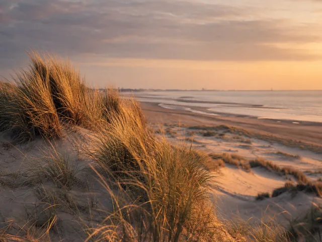 Dunes et littoral des Hauts-de-France