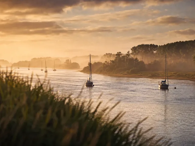 Estuaire de la Loire en Pays de la Loire